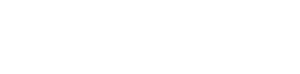 Flare Logo White